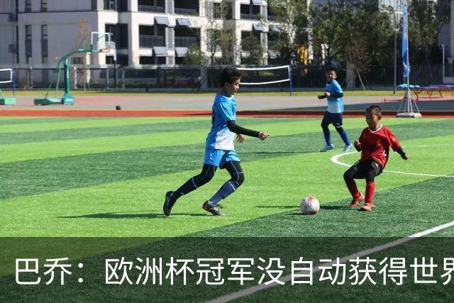 巴乔：欧洲杯冠军没自动获得世界杯资格 这是耻辱